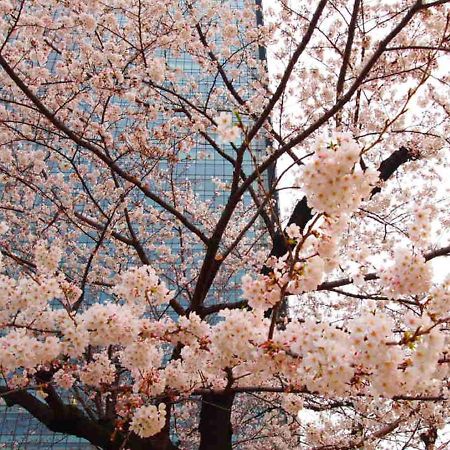 Apa Hotel Roppongi Itchome Ekimae Tokyo Bagian luar foto